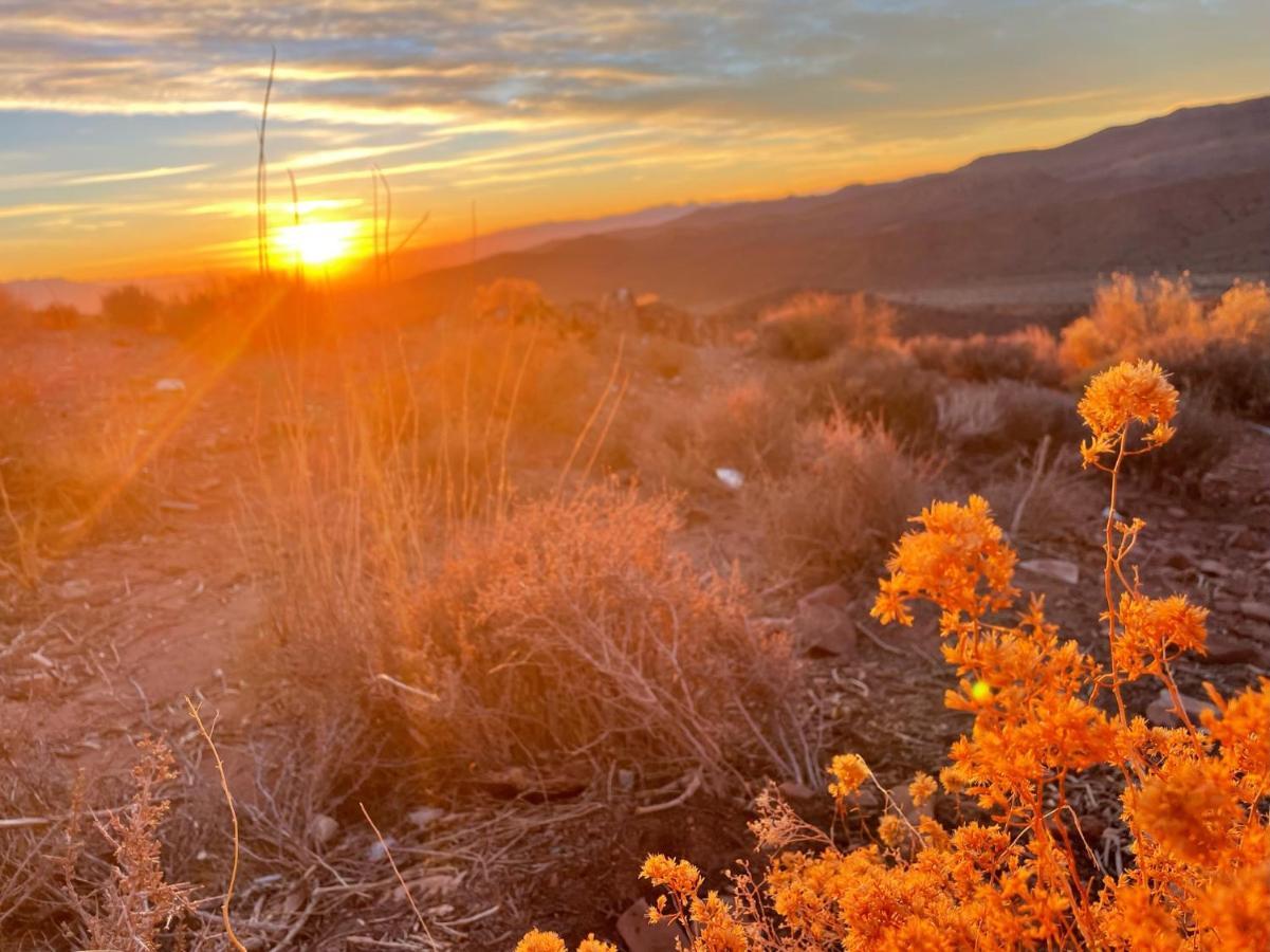 Sage Desert Dreams 芒特查尔斯顿 外观 照片